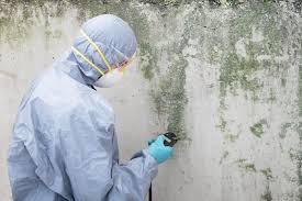 Best Basement Mold Removal  in Asheboro, NC